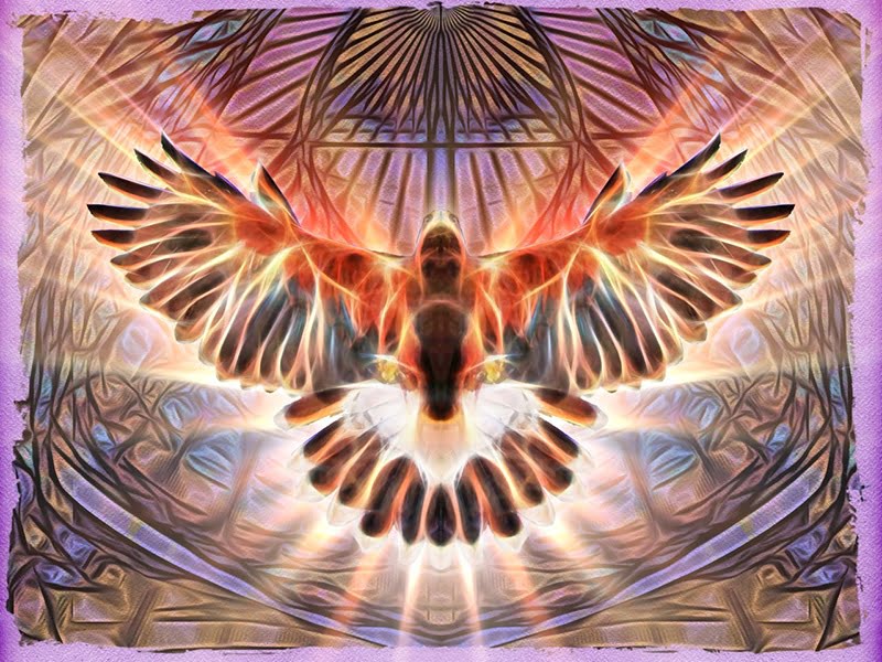 Hawk Rising by Teresa Cowley